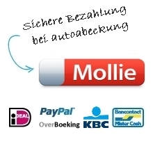 Bezahlung autoabdeckung